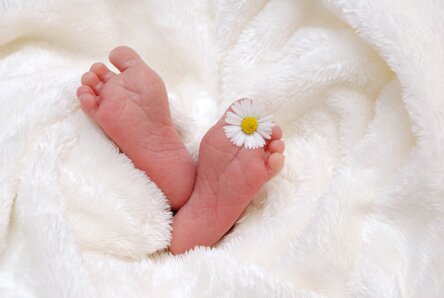 Babyfüße mit einem Gänseblümchen.